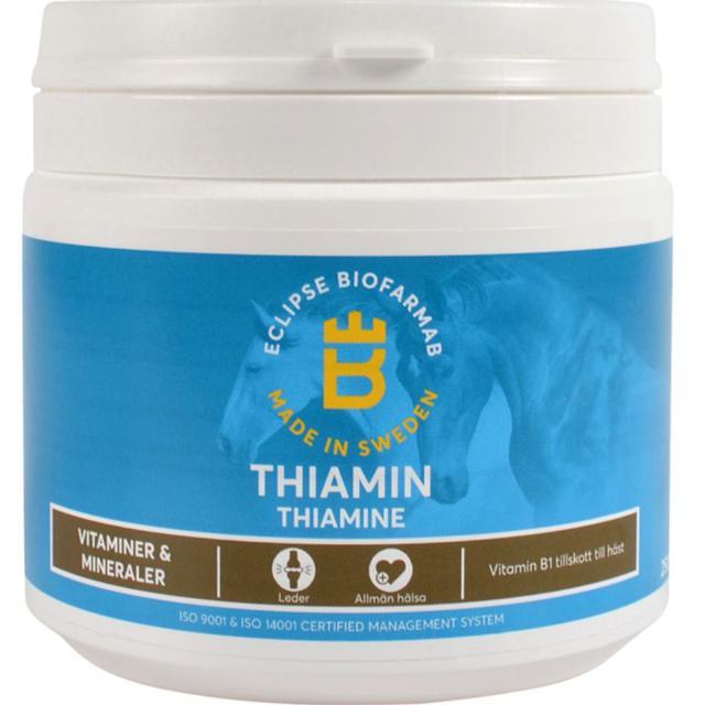 Thiamin 250 g product image